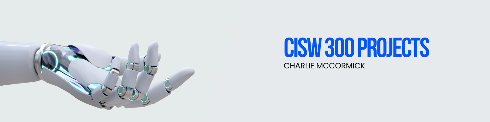 CISW 300 Banner